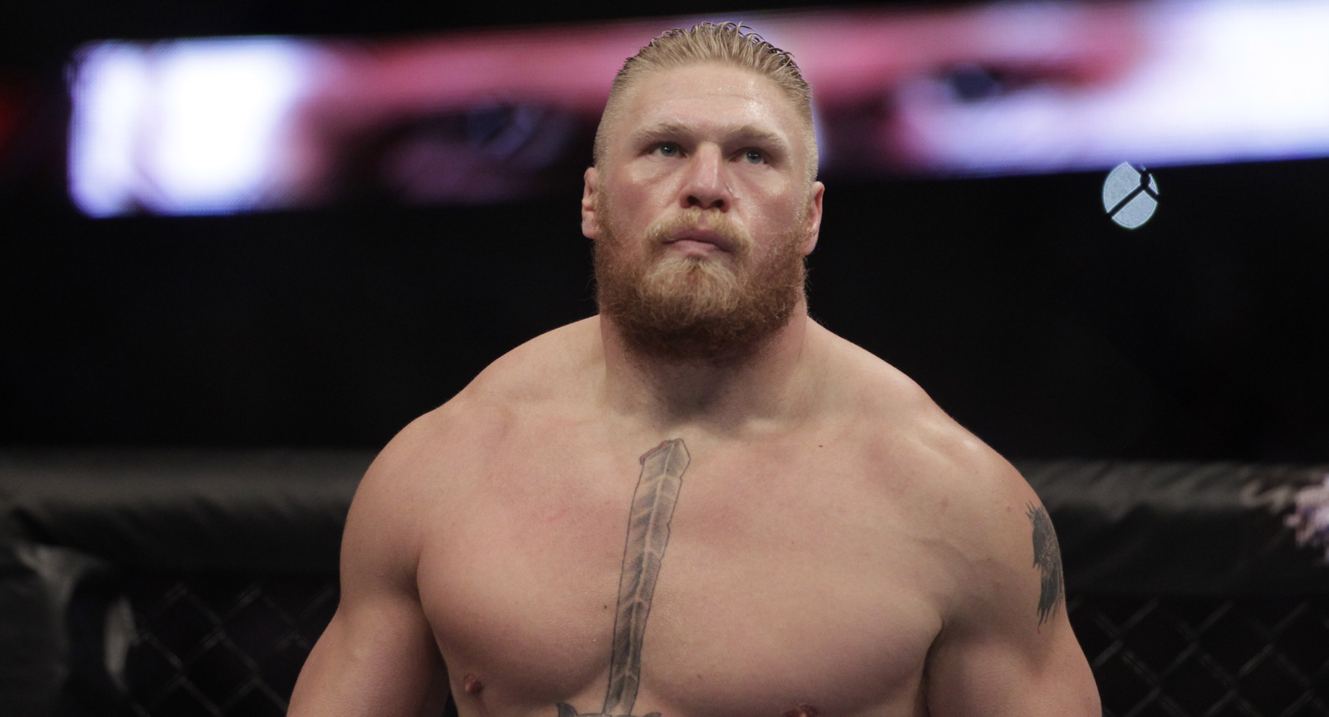 lesnar mma news playsports 88