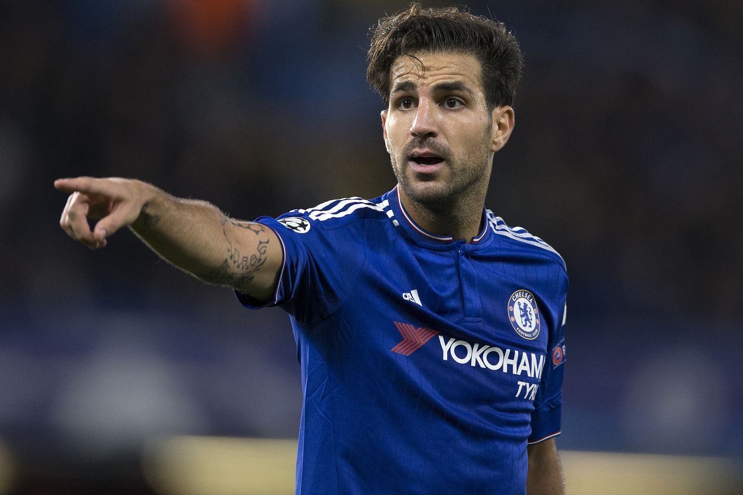 Cesc Fabregas football news