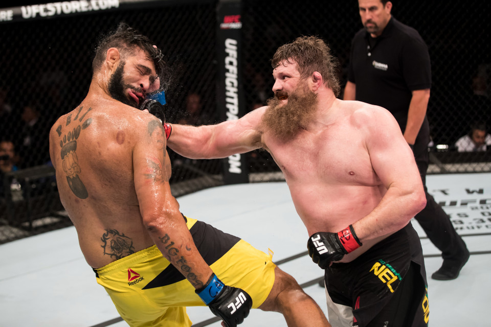roy nelson ufc news