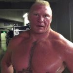Brock Lesnar mma update