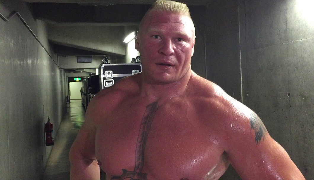 Brock Lesnar mma update