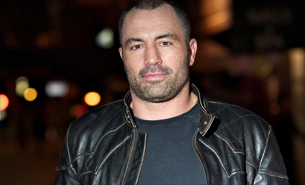 Joe Rogan mma update