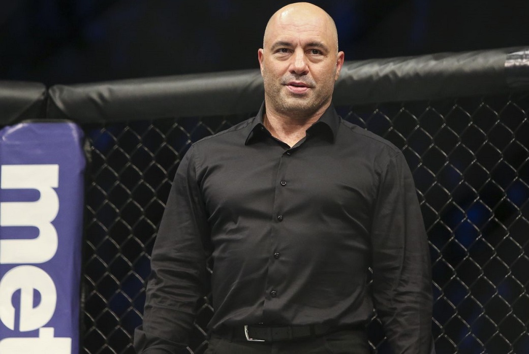 Joe Rogan mma update